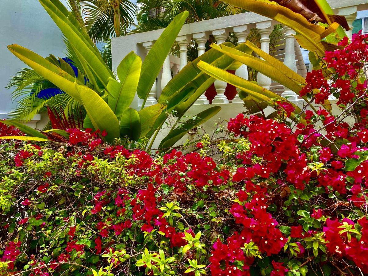 At Wind Chimes Boutique Hotel San Juan Dış mekan fotoğraf